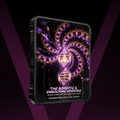 THE SOMATIC & ENDOCRINE UPGRADE | 3-in-1 Hardware Defragmentation